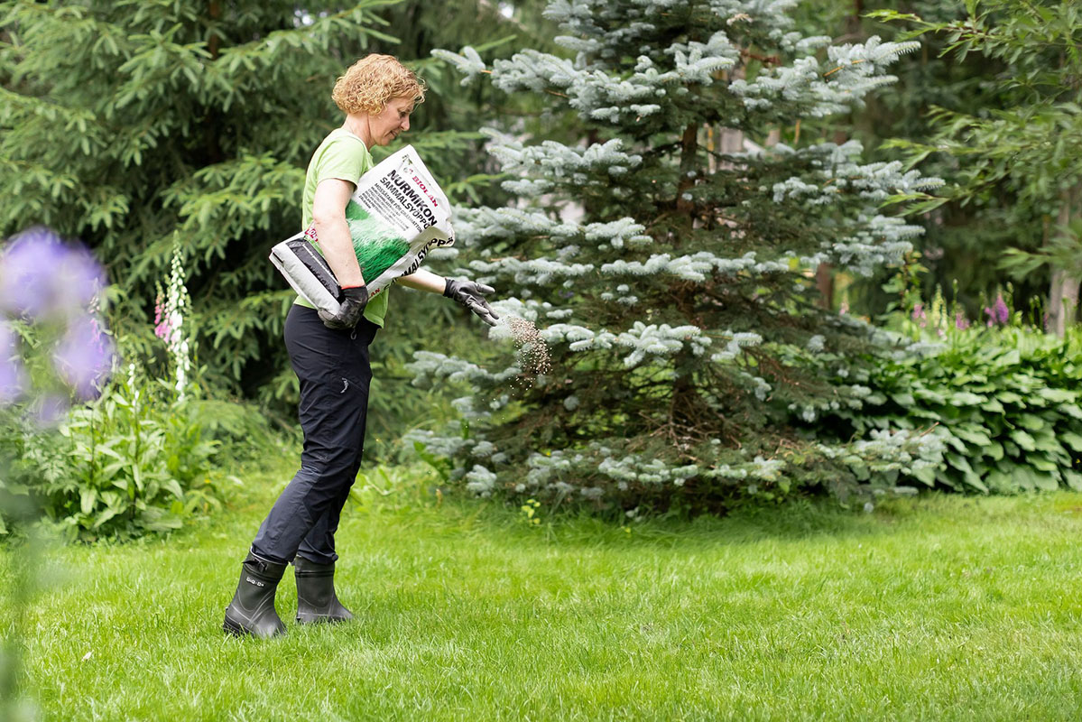 Biolan Sammalsyöppö on erikoislannoite sammaloituneille nurmikoille. Lannoitusvaikutuksen lisäksi se tuhoaa sammaleen.